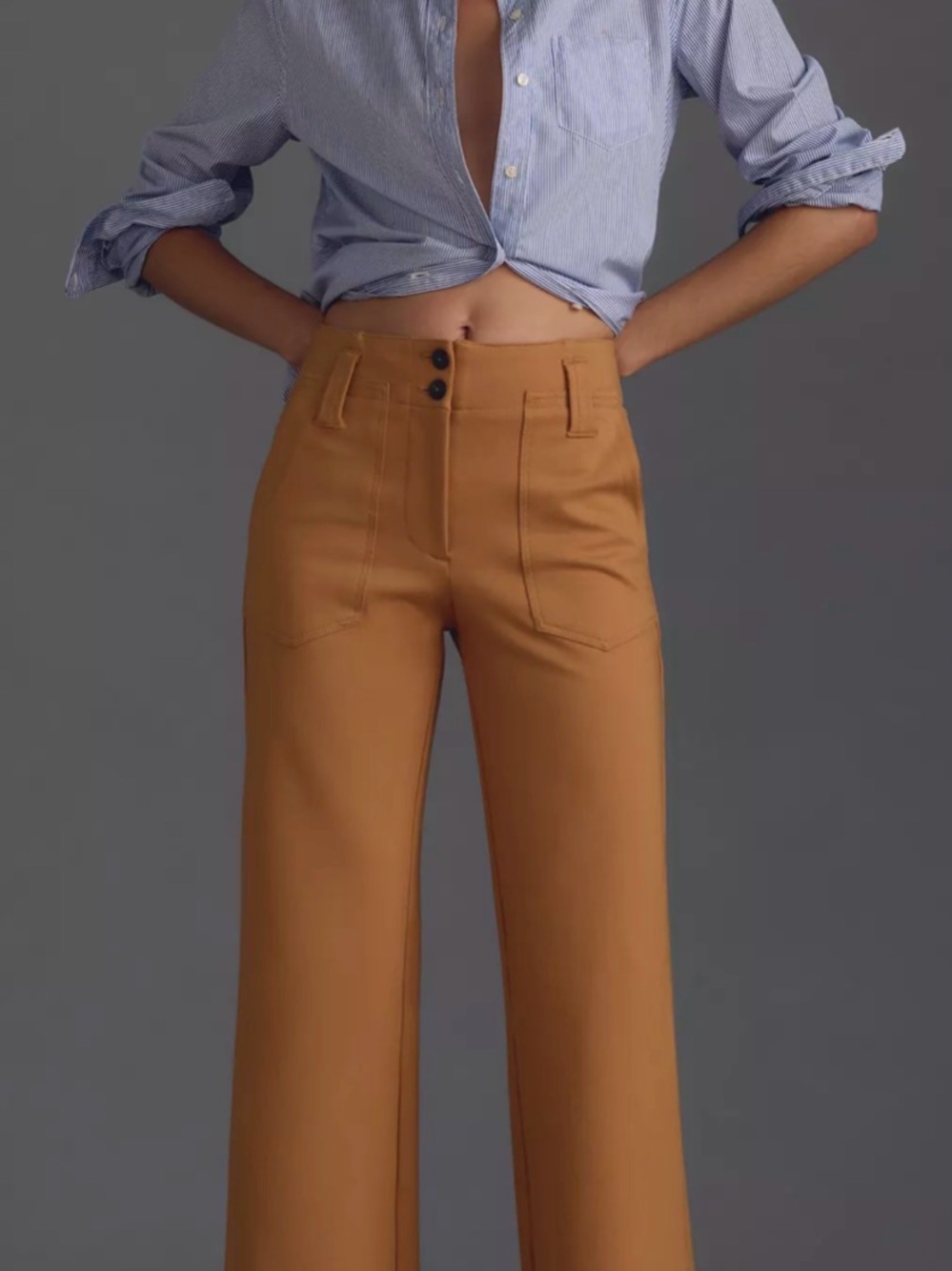 Maeve Anthropologie Wide-Leg High-Rise Pants in Caramel Brown Tall